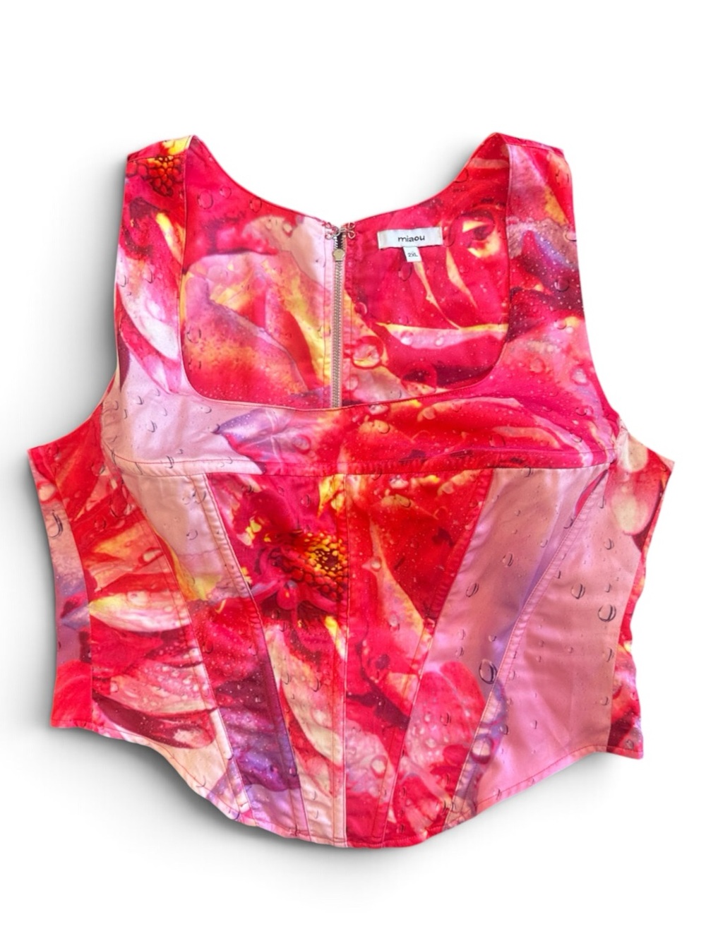 Miaou Red & Pink Floral Campbell Bustier Top Botanical Floral in Dewy Rose 2XL